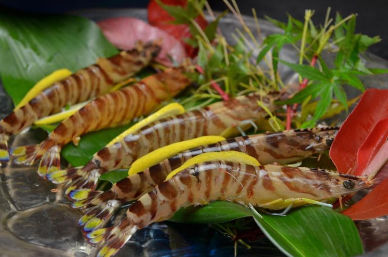 هتل Shouryuen Kaisei