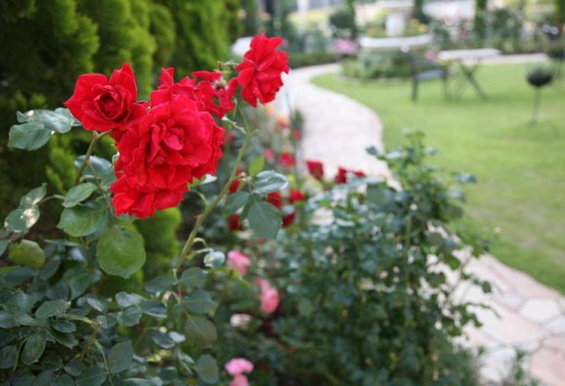 ホテル Sunlife Garden