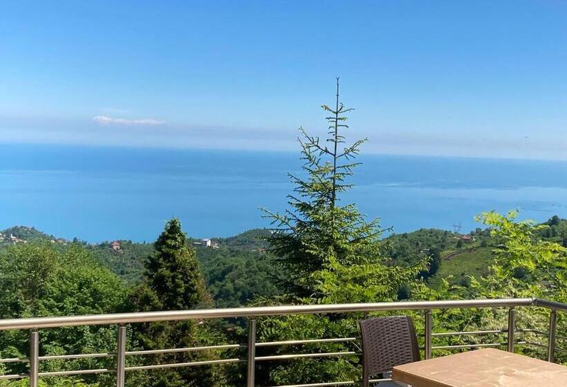 Hotel Zarha Mountain Resort