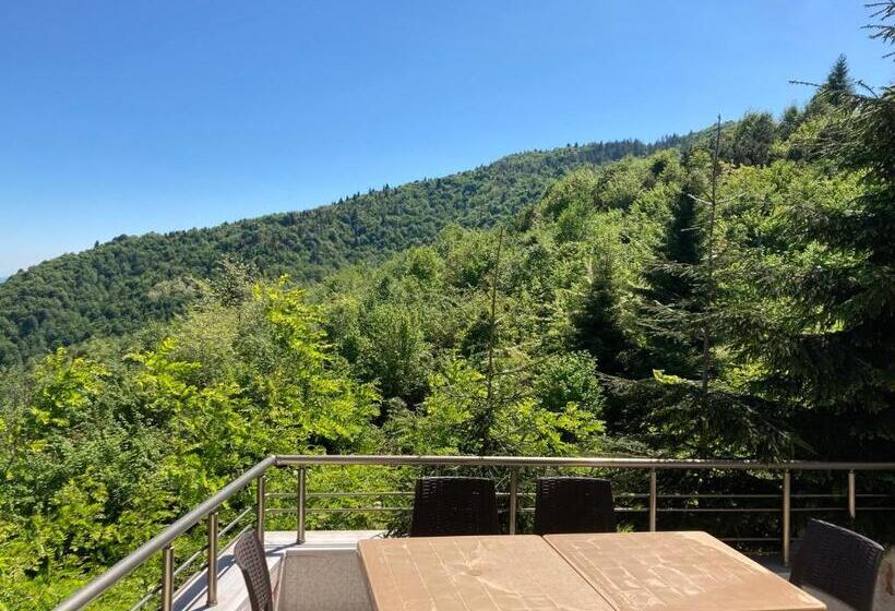 Hotel Zarha Mountain Resort