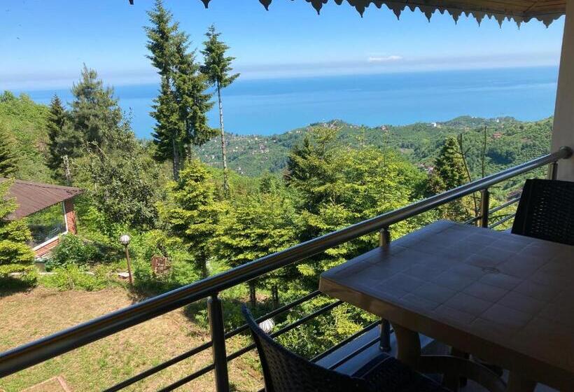 Hotel Zarha Mountain Resort