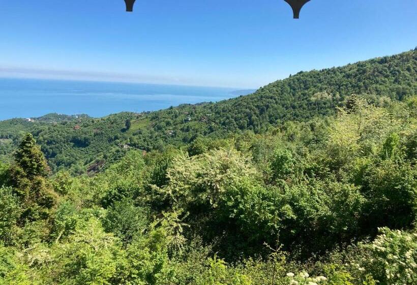 Hotel Zarha Mountain Resort