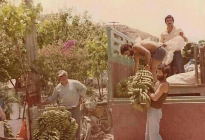 Ariadni Hotel Arvi By Estia