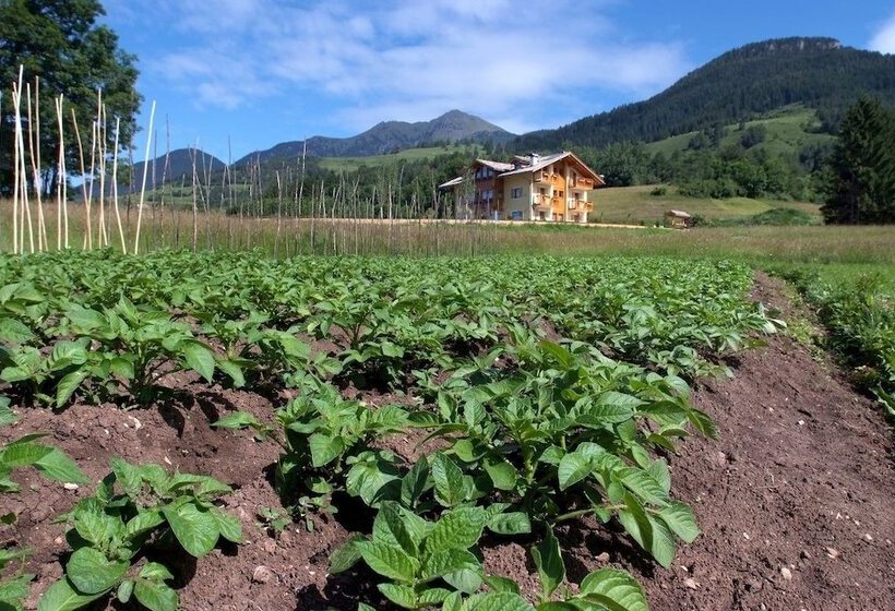 Отель Agritur Maso Chemela