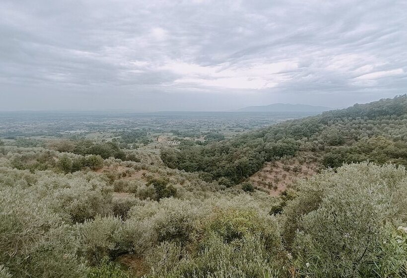 هتل Agriturismo Campofiorito