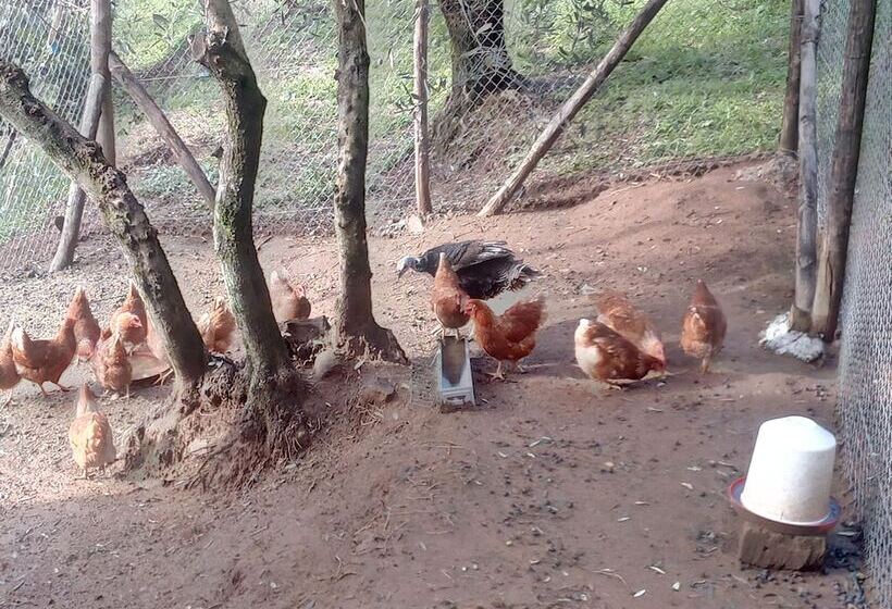 هتل Agriturismo Campofiorito