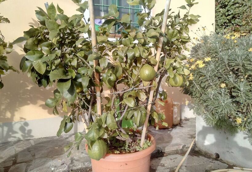 هتل Agriturismo Campofiorito