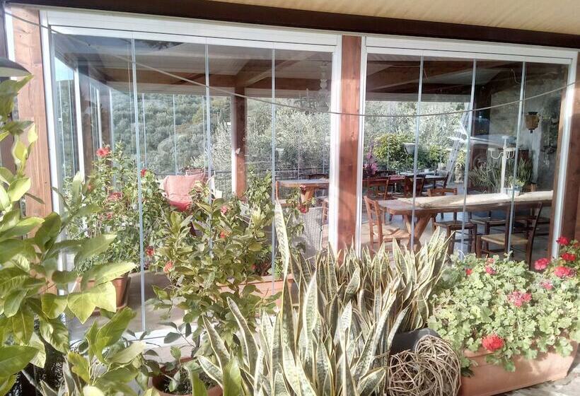 هتل Agriturismo Campofiorito