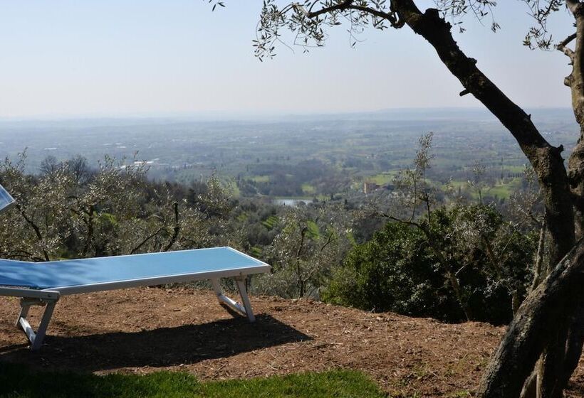 هتل Agriturismo Campofiorito