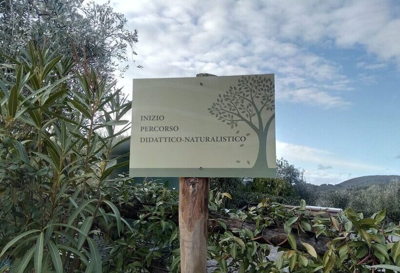 هتل Agriturismo Campofiorito