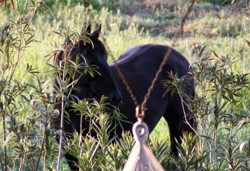 فندق Agriturismo Peretti