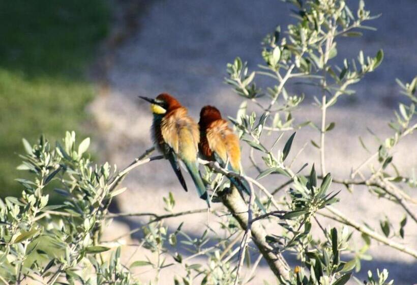 فندق Agriturismo Peretti