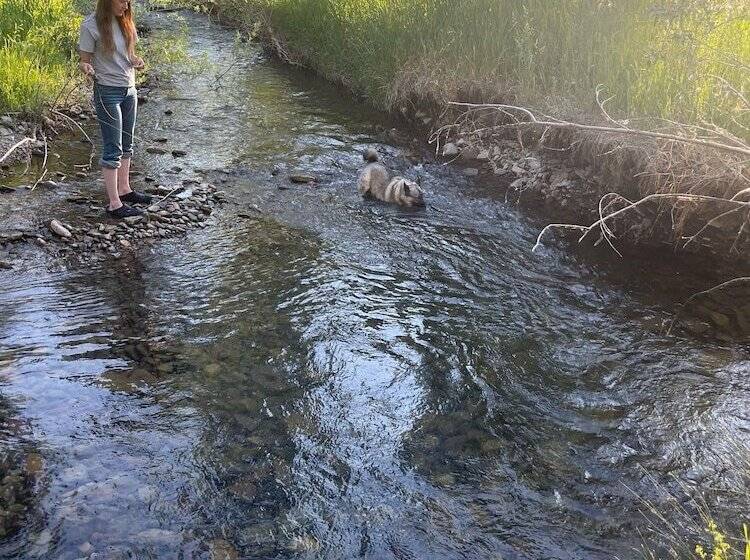 فندق Antlers On The Creek Bed & Breakfast