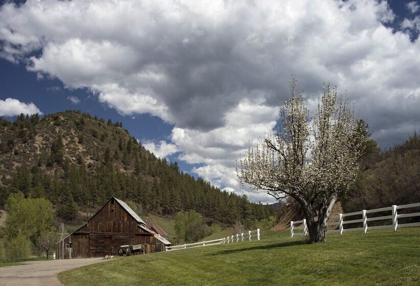 فندق Antlers On The Creek Bed & Breakfast