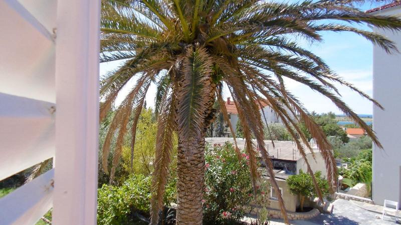 酒店 Apartments Smoky