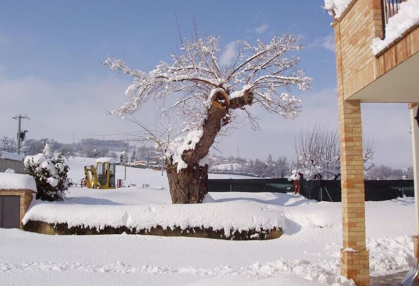 Отель Azienda Agrituristica Le Bucoliche