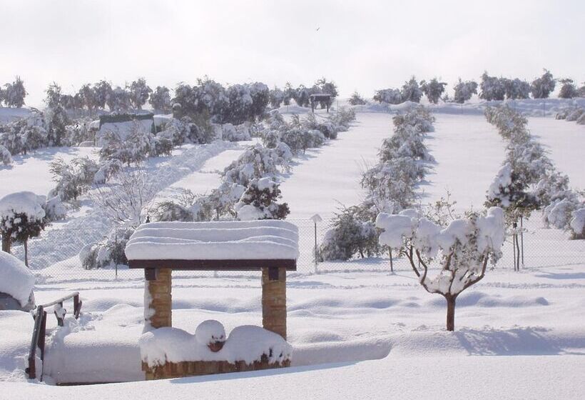 Отель Azienda Agrituristica Le Bucoliche