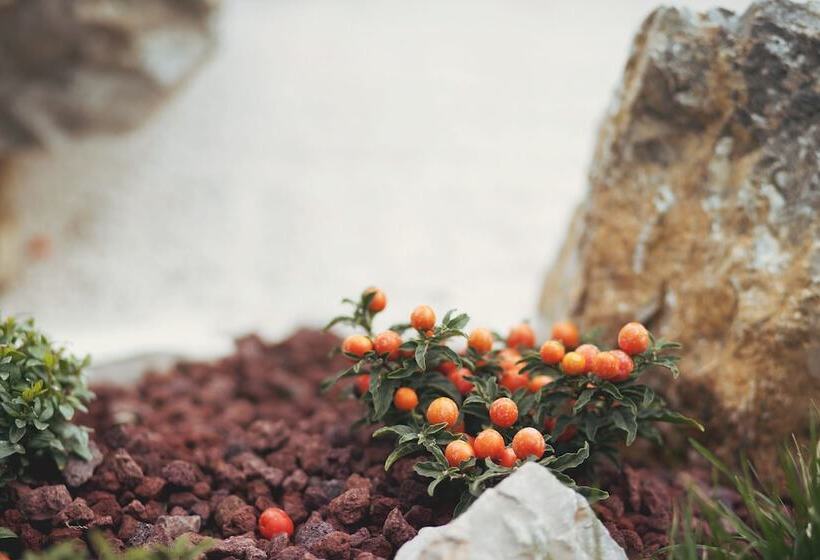 فندق B&b Il Faggio Rosso