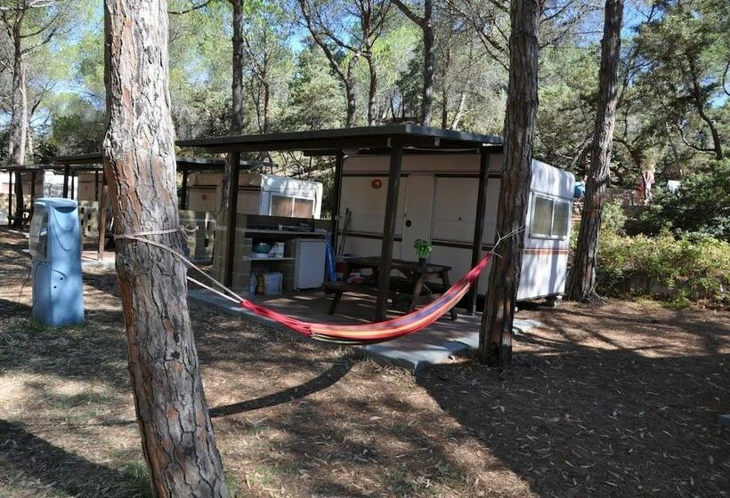 Отель Camping Golfo Dell Asinara
