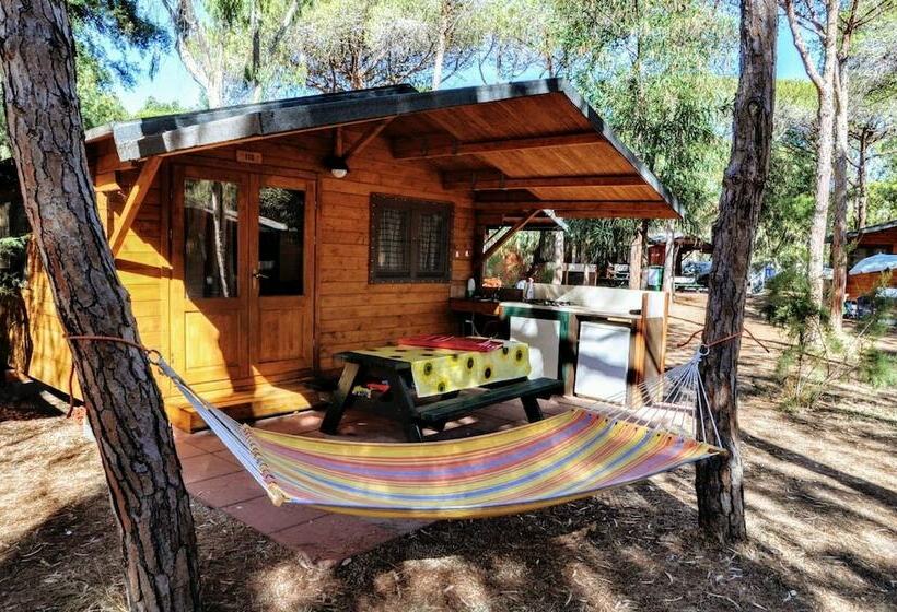 Отель Camping Golfo Dell Asinara