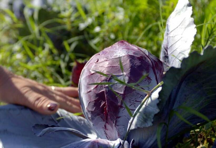 هتل Country Resort Le Due Ruote