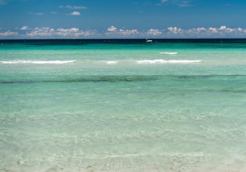 בית מלון כפרי Maluentu