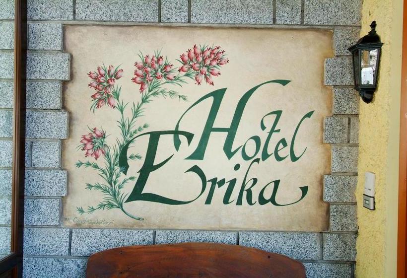 فندق Erika