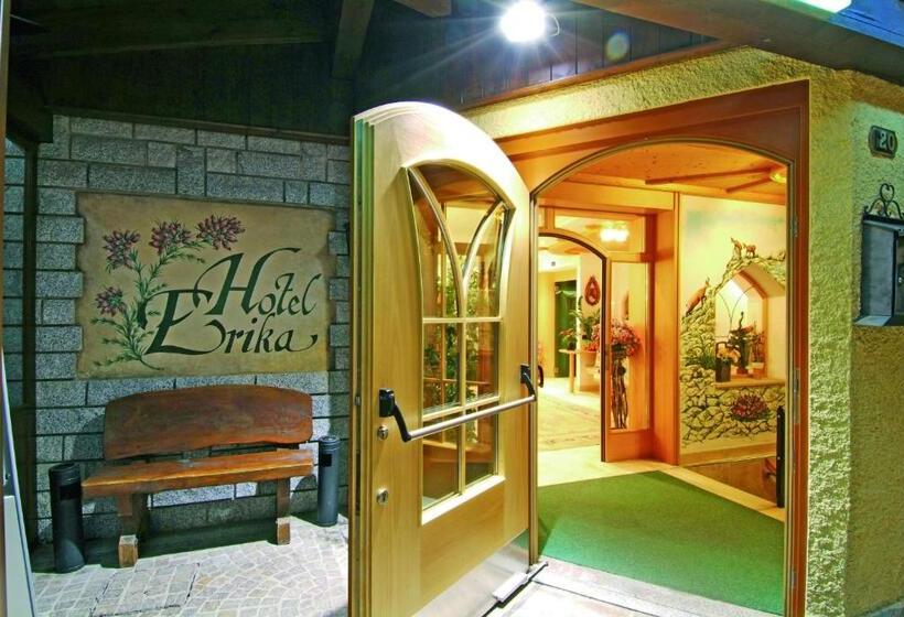فندق Erika