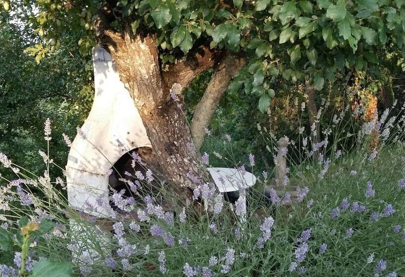 Отель Frateria Di San Benedetto