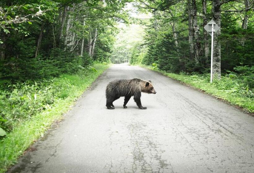 호텔 Shiretoko Village
