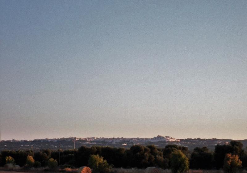 호텔 Masseria Di Benedetto