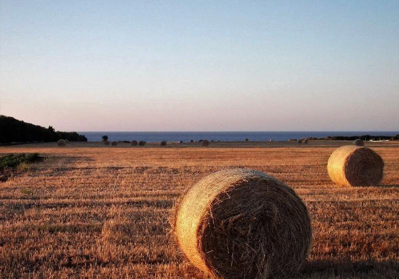 호텔 Masseria Di Benedetto