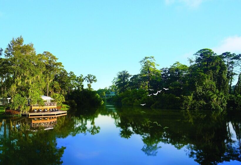 ホテル Montage Palmetto Bluff