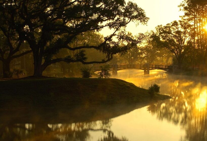 ホテル Montage Palmetto Bluff