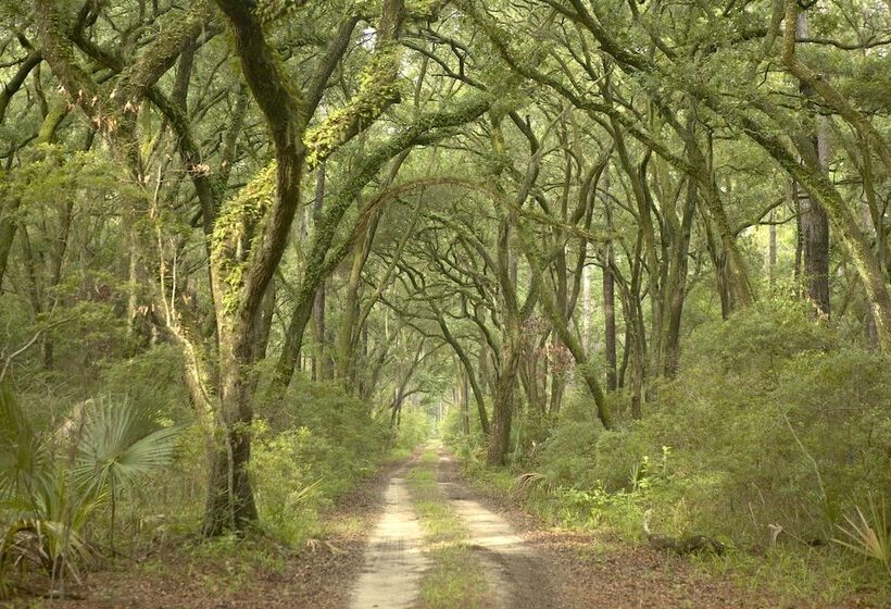 ホテル Montage Palmetto Bluff