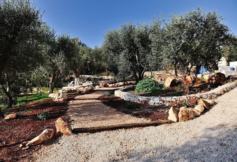 호텔 Pigreco Trullo Di Charme   Boutique