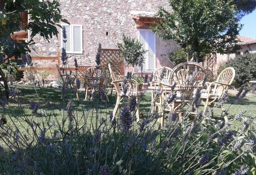 酒店 Podere San Quirico