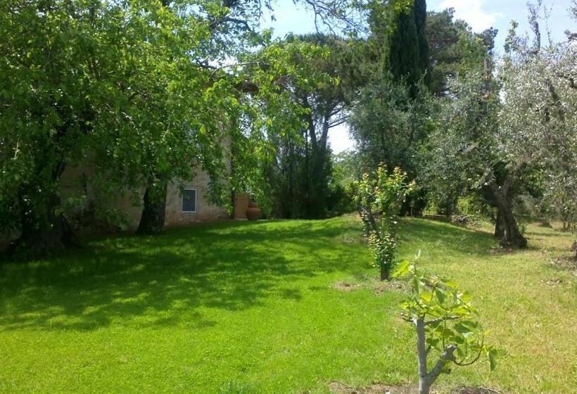 酒店 Podere San Quirico