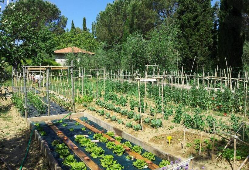 酒店 Podere San Quirico