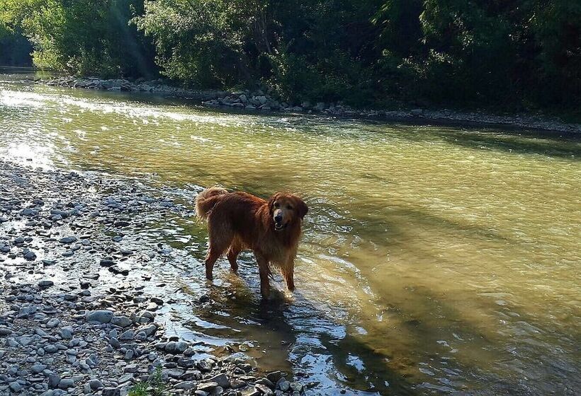 Отель River Melody
