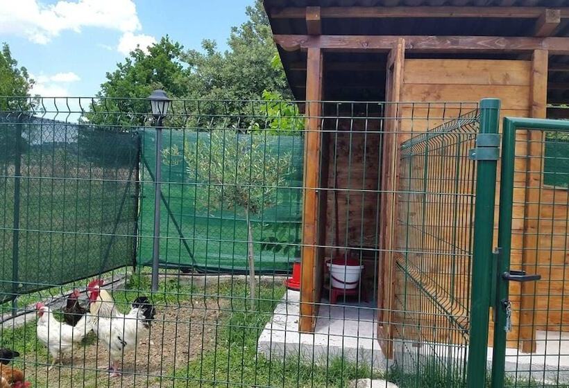 Отель River Melody