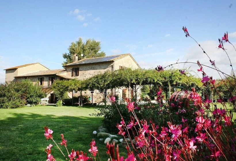 Отель River Melody