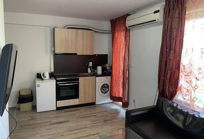 ホテル Samuil Apartments