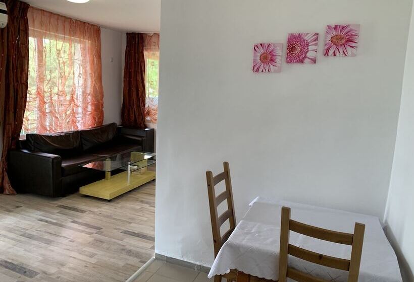 ホテル Samuil Apartments