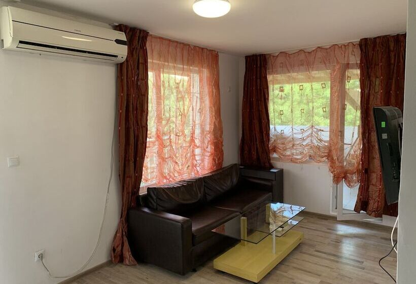 ホテル Samuil Apartments