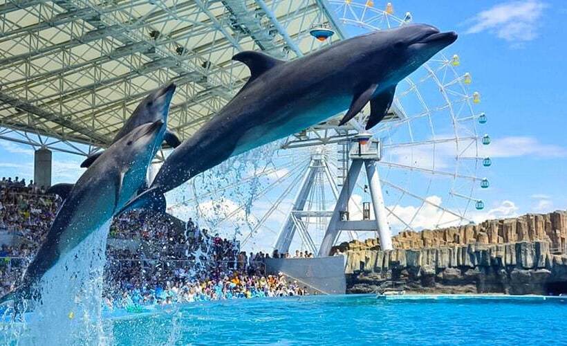 בית מלון כפרי Tokai City