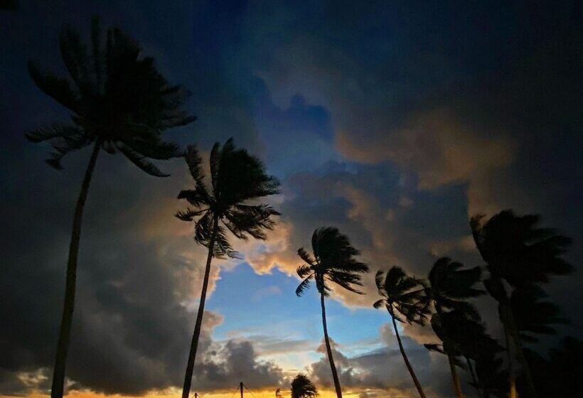 فندق Urban Boutique