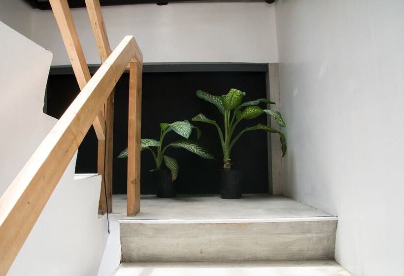 فندق Urban Boutique