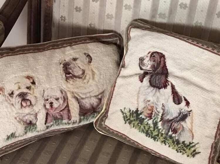 فندق Villa House And Garden B&b