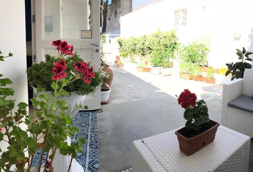 فندق Villa Pollio Guest House
